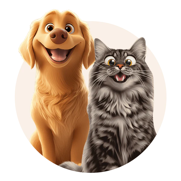 For Pet Lover
